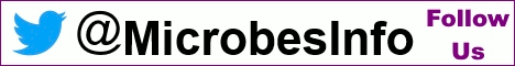 Microbes Info Twitter
