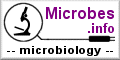 Microbes.info